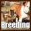 Tips for Bulldog Breeders