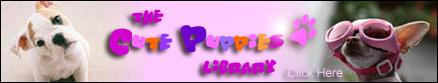 A collection of puppy photos
