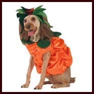 Pumpkin Pet Costume