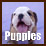 Puppy Tips