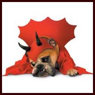 Devil Dog Costume